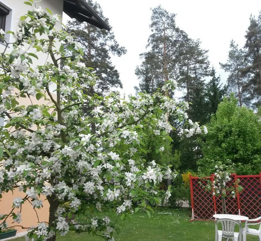 Ferienwohnung Kerth Sankt Kanzian am Klopeiner See Zewnętrze zdjęcie